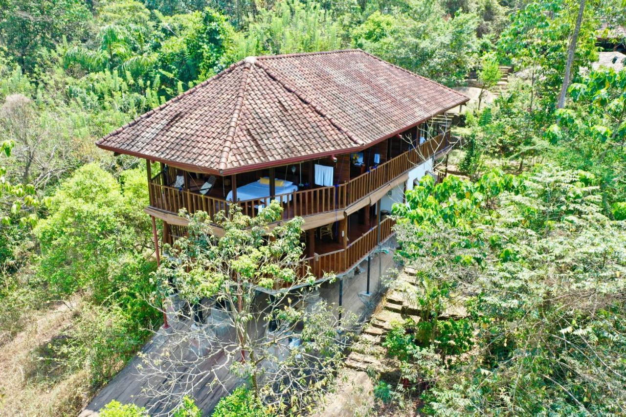 Wanakaset Forest Glamping Kitulgala Luaran gambar