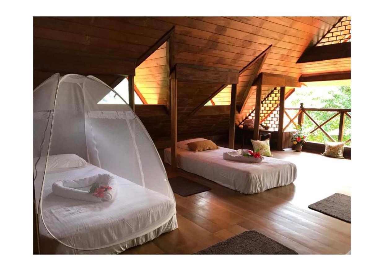 Wanakaset Forest Glamping Kitulgala Luaran gambar