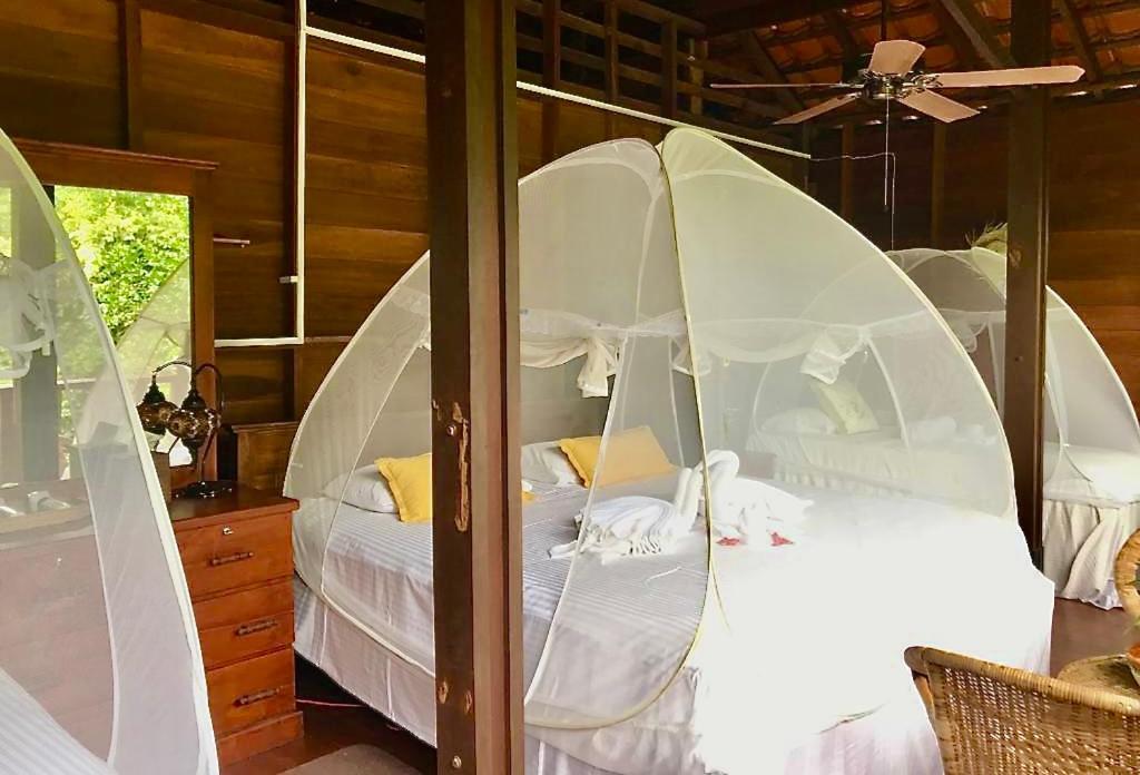 Wanakaset Forest Glamping Kitulgala Luaran gambar