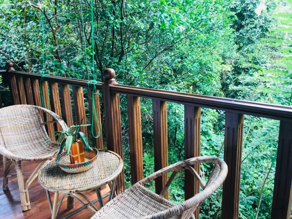 Wanakaset Forest Glamping Kitulgala Luaran gambar