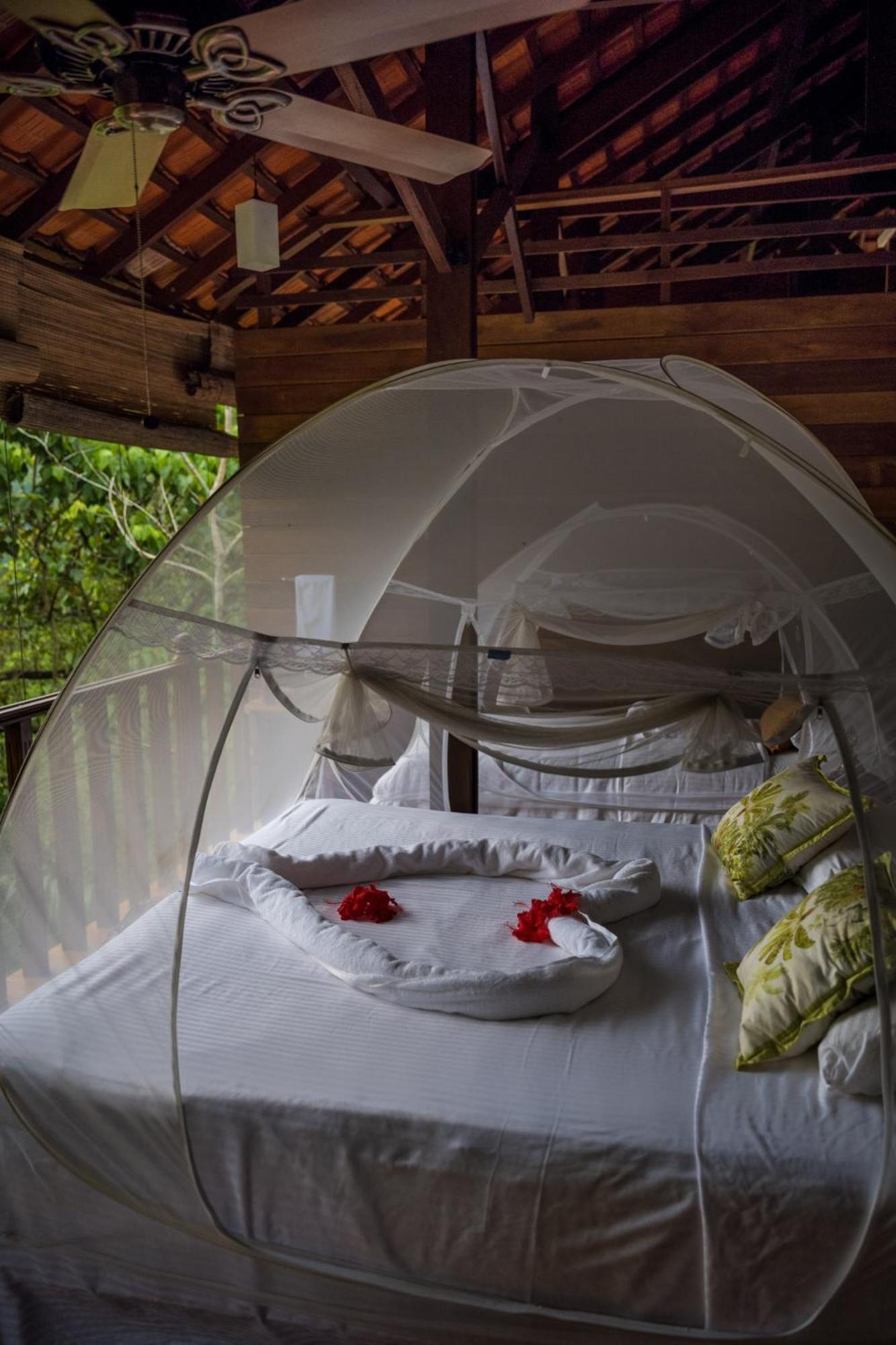 Wanakaset Forest Glamping Kitulgala Luaran gambar